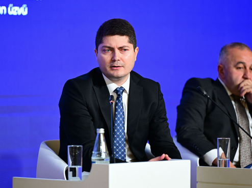Hüquqi Ekspertiza və Qanunvericilik Təşəbbüsləri Mərkəzinin İcraçı direktoru "Mədəniyyət ...