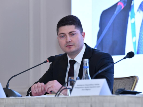 Hüquqi Ekspertiza və Qanunvericilik Təşəbbüsləri Mərkəzinin İcraçı direktoru və Publik hüququn ...